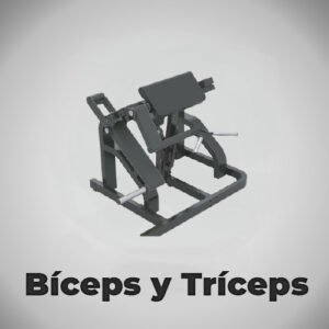 BÍCEPS Y TRÍCEPS