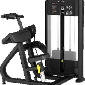 Triceps Extension