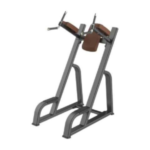 ELEVACIÓN DE RODILLAS ABS