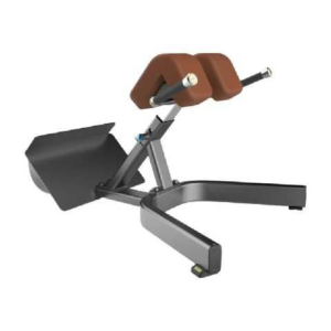 EXTENSIÓN LUMBAR (ESPALDA)