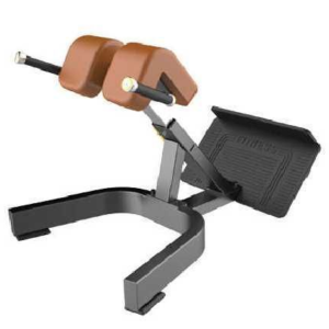 EXTENSION LUMBAR (ESPALDA)_M