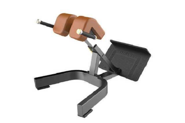 EXTENSION LUMBAR (ESPALDA)_M