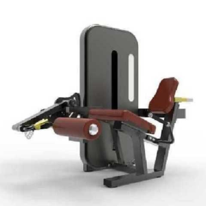 MÁQUINA EXTENSIÓN PIERNAS (CON PLACAS)